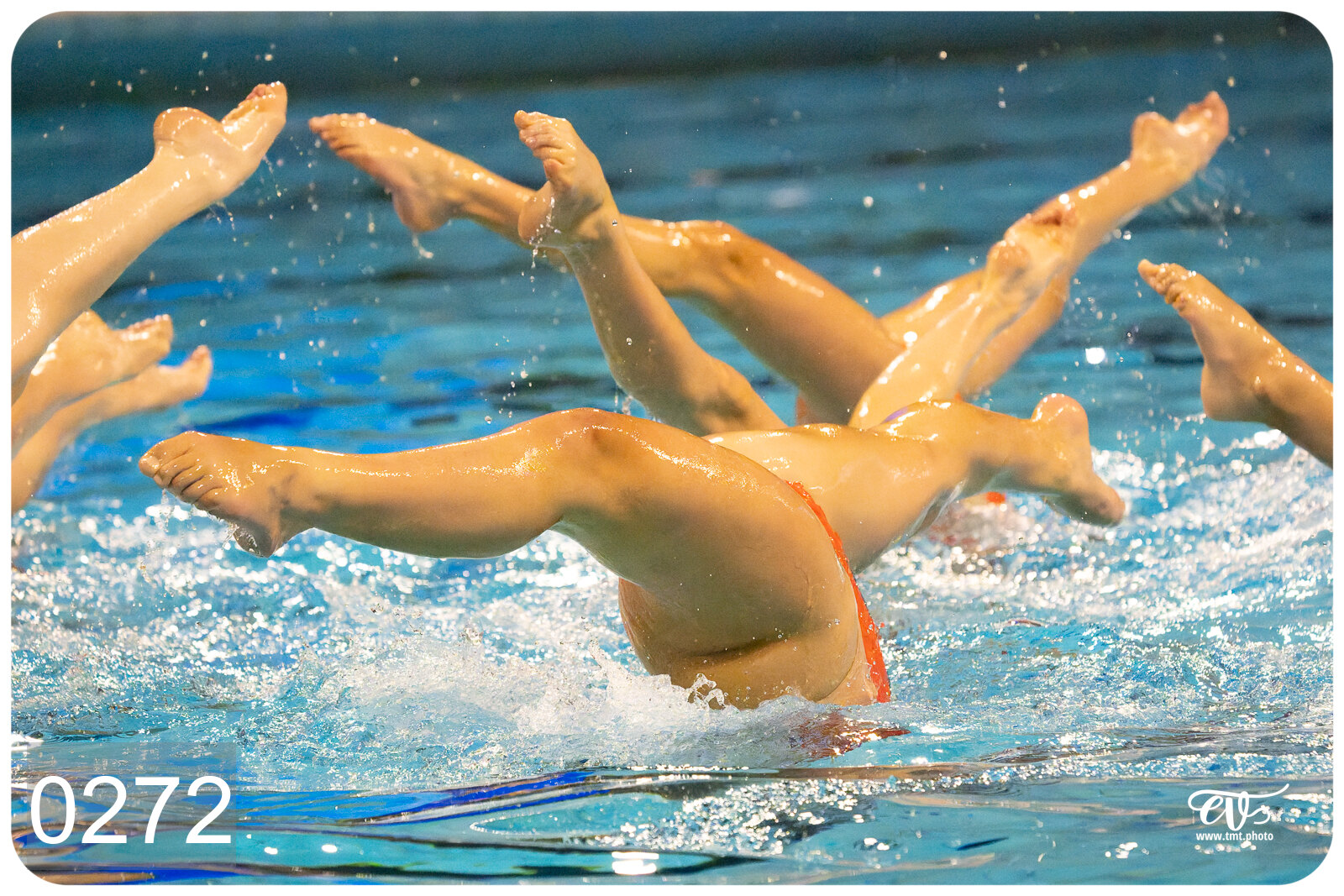 CHAMPIONNAT DE FRANCE DE NATATiON ARTISTIQUE N1 & ELITE 2026